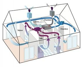 diagnostic double flux